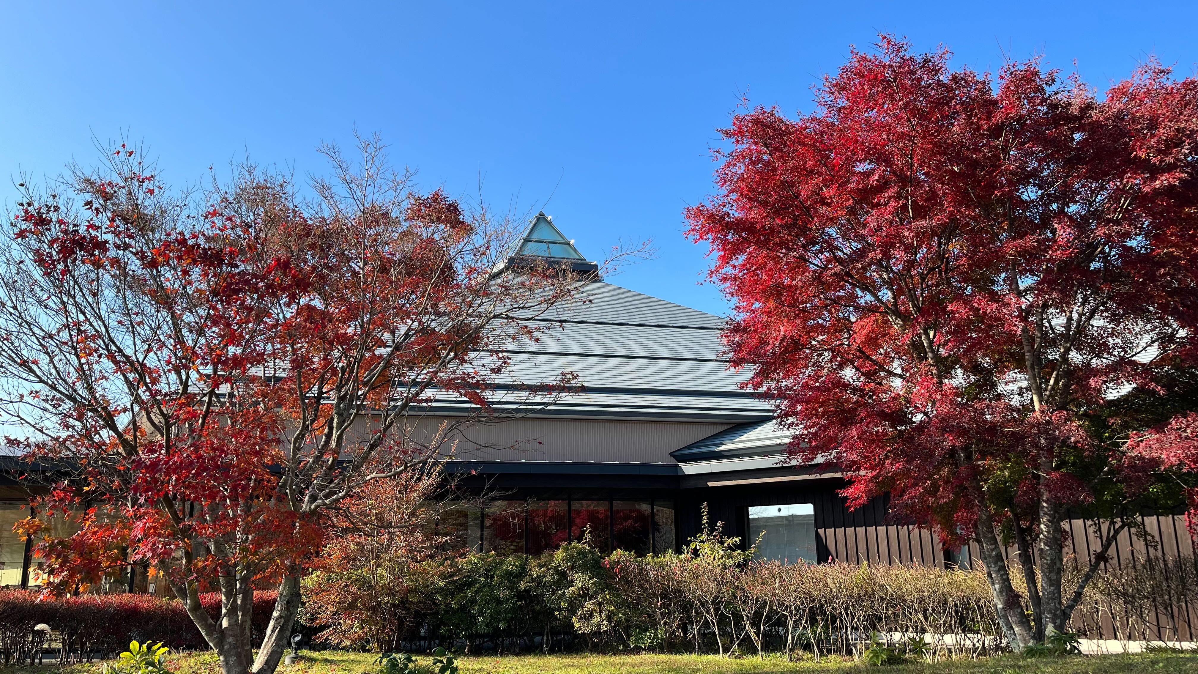 組織の壁を超えて